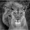 foto do perfil kiaraesimba